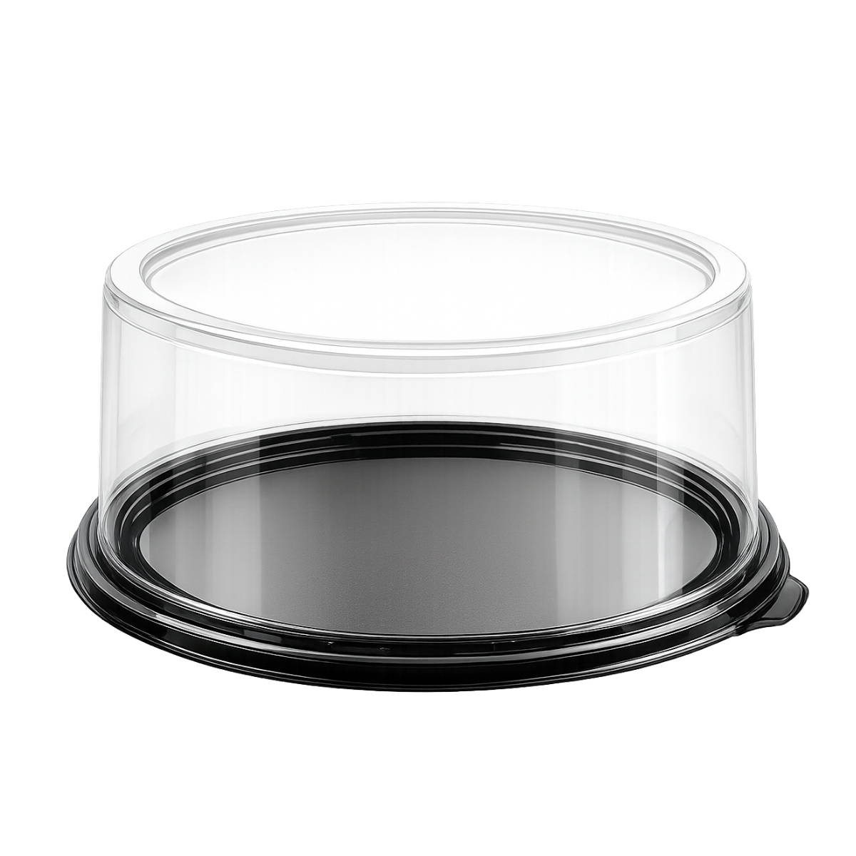 Plastic Cake Box — B (Medium)