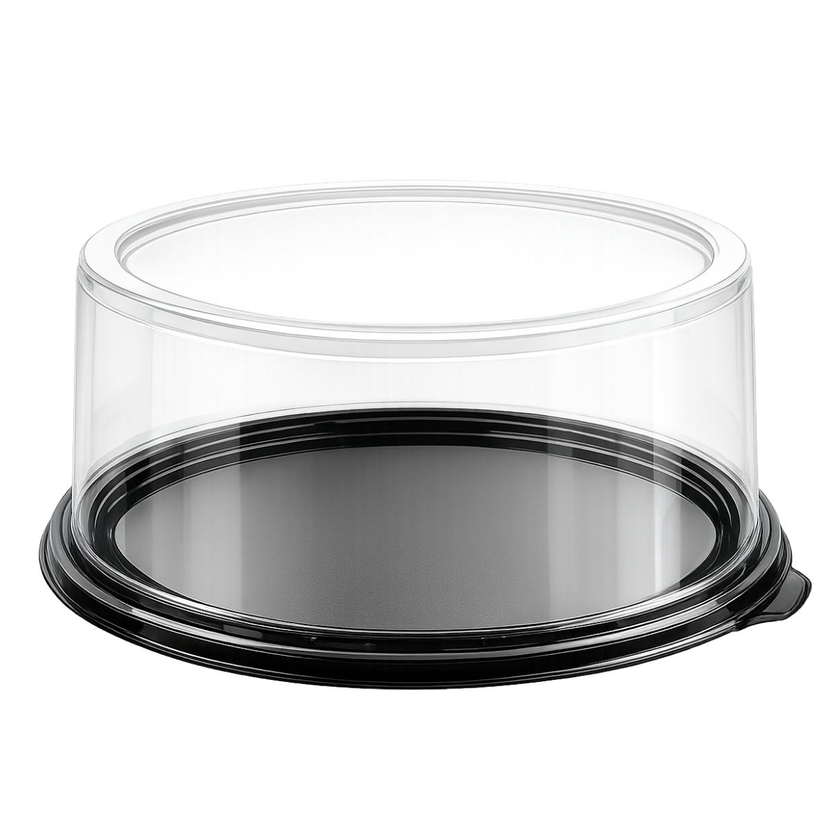 Plastic Cake Box — C (Large)