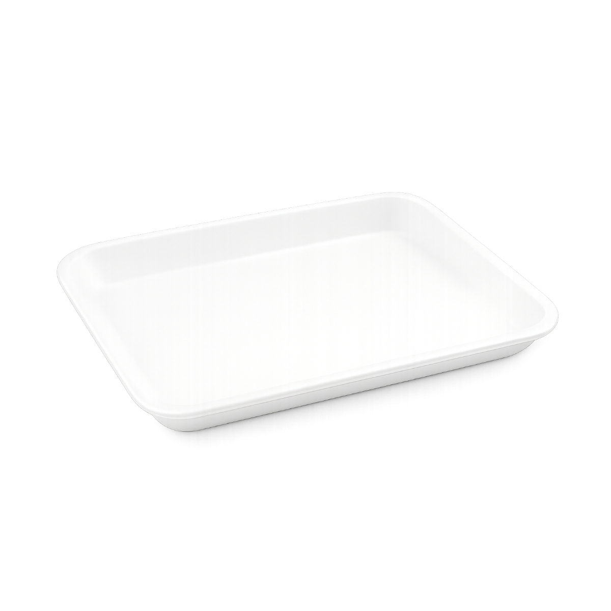 Plastic Tray — B